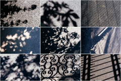 3x3-2022-20-Falmouth-St-Mawes-to-Trelissick-Gardens-2-Web