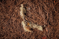 P1025790-Web
