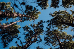 P1025715-Web-rotated