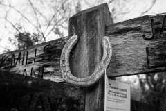 1066646-Web