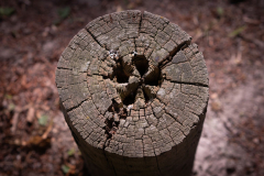 1380556-2K-Web