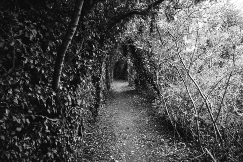 1311510-Web
